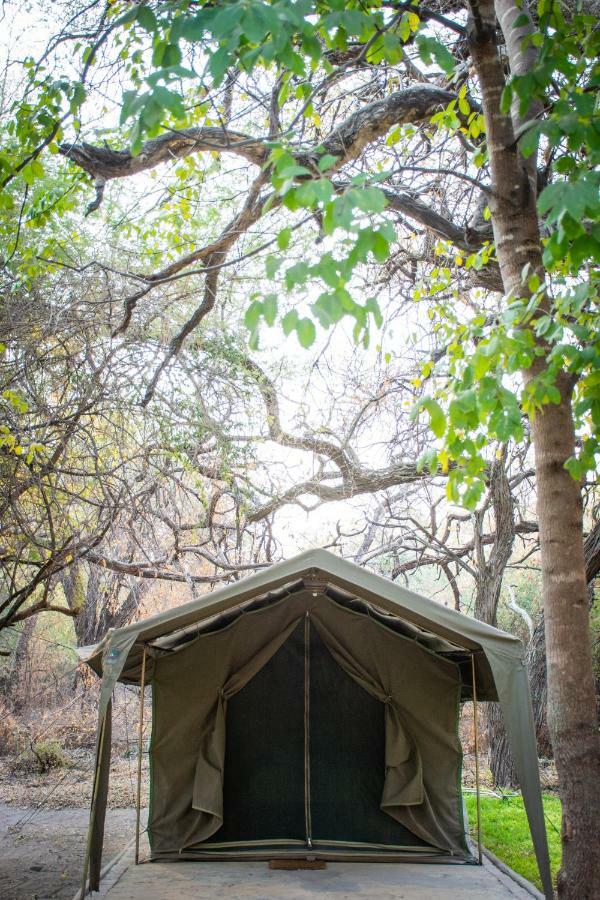 Sitatunga Campsite Maun Exterior photo